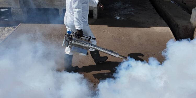 N&rsquo;djamena : La Mairie centrale lance une opération de salubrité au marché aux poissons de Chagoua