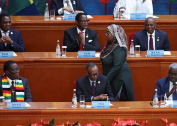 Un continent en voyage : Pourquoi les dirigeants africains préfèrent négocier leur futur hors d’Afrique ?