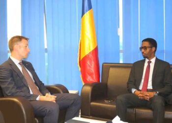 Coopération : Le ministre de la Communication reçoit le Président du Groupe d’Amitié France–Tchad