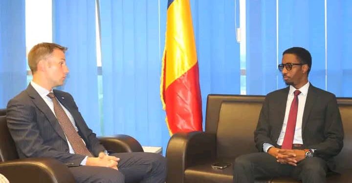 Coopération : Le ministre de la Communication reçoit le Président du Groupe d’Amitié France–Tchad