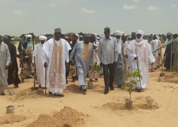Tchad : La localité de Toumsary renforce sa lutte contre le désert avec 500 arbres plantés