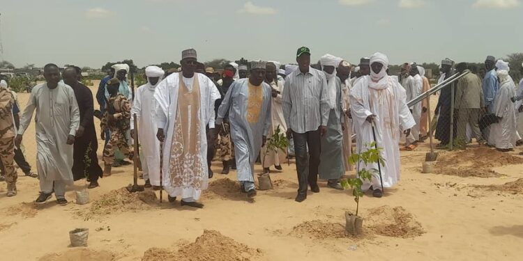 Tchad : La localité de Toumsary renforce sa lutte contre le désert avec 500 arbres plantés