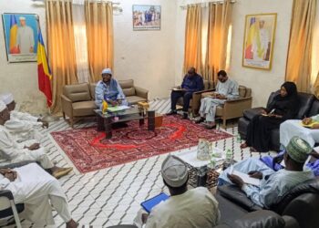 Tchad : Les autorités s’attaquent à une construction illégale dans l’école primaire Albadour de N’Djamena