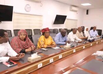 Tchad : Le Comité National de Prévention et de Gestion des Inondations se mobilise face à la montée des eaux