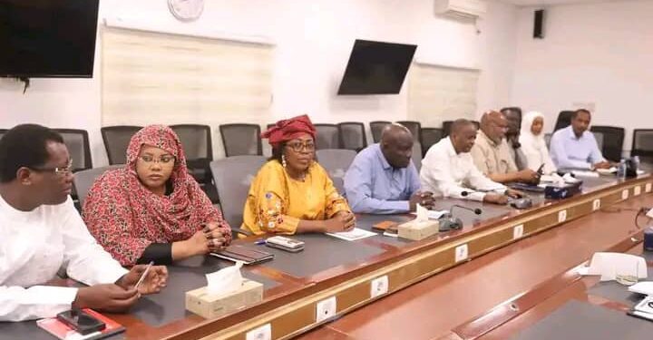 Tchad : Le Comité National de Prévention et de Gestion des Inondations se mobilise face à la montée des eaux