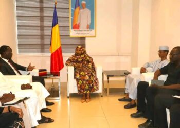 Tchad : La Ministre Déléguée reçoit la CAETM pour préparer le 6ᵉ Forum des Étudiants de la Diaspora