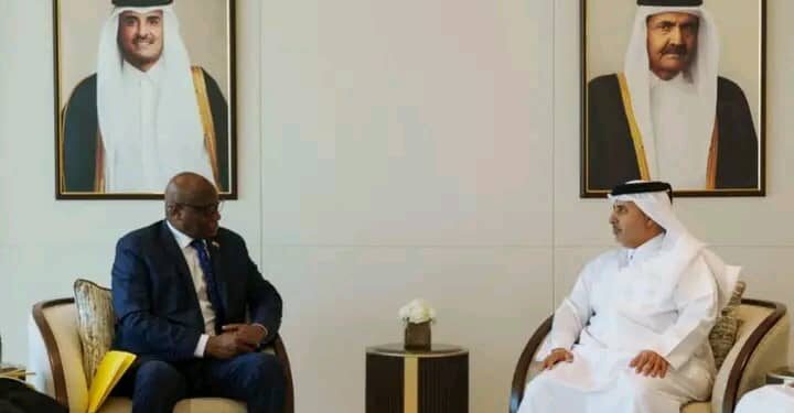 Tchad : Une coopération environnementale au cœur des échanges avec Doha