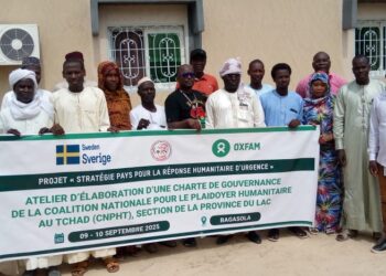 Bagasola : Atelier d’élaboration d’une charte de gouvernance pour la CNPHT/Lac