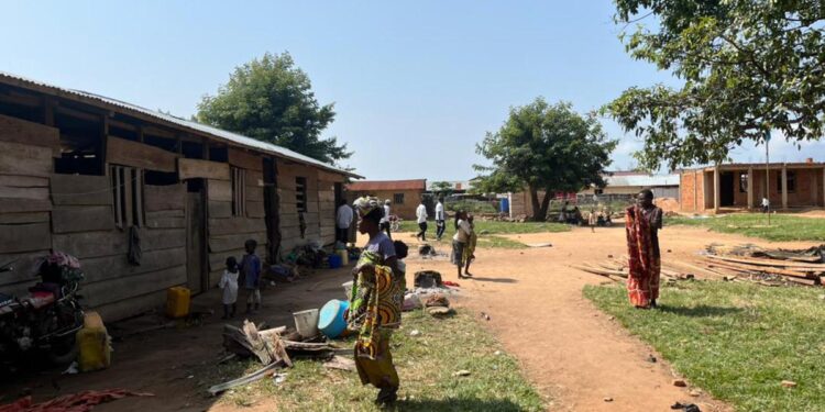 RDC : Des jeunes volontaires mobilisés pour soutenir les déplacés du Nord-Kivu