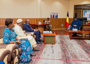 N’Djaména : Le Sénat accueille l’exécutif communal pour discuter du développement de la capitale