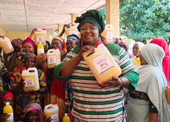 Tchad : La Coordination de l’Organisation Féminine pour le Développement du Moyen-Chari transforme le karité en opportunité économique