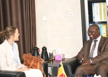 Tchad–Allemagne : Vers un partenariat renforcé en matière d&rsquo;eau et énergie