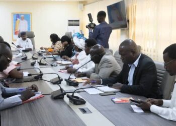 Tchad : Le ministre de la Santé reçoit une mission de l&rsquo;OMS pour la lutte antitabac