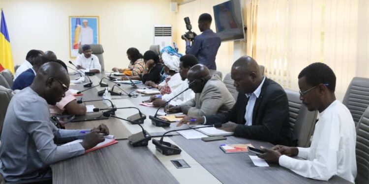 Tchad : Le ministre de la Santé reçoit une mission de l&rsquo;OMS pour la lutte antitabac