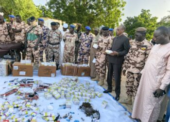 Lac : Lutte Contre la drogue, une importante saisie de stupéfiants à Bol