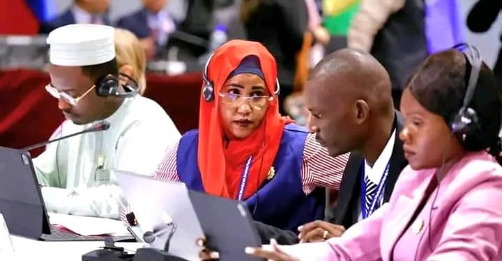 Des députés tchadiens participent à la 11ᵉ Conférence mondiale des jeunes parlementaires