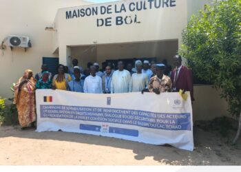Lac : Le PNUD renforce les capacités des acteurs de stabilisation à Bol