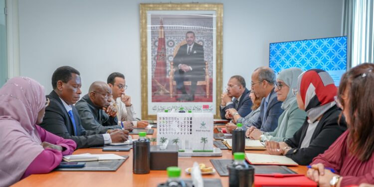 Coopération : Échanges entre le Médiateur de la République du Tchad et une équipe des services du Médiateur du Royaume du Maroc