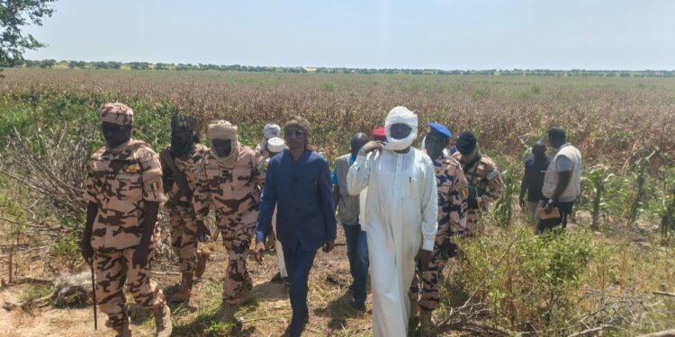 Lac : le Délégué Général du Gouvernement évalue les aménagements hydro-agricoles au barrage de Blayessou