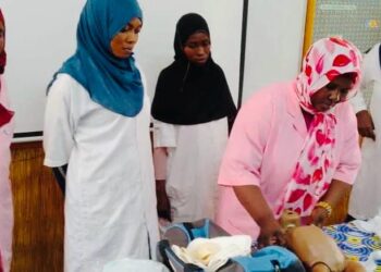 Tchad : Le ministère de la Santé forme les agents des centres de santé de N’Djaména aux soins essentiels du nouveau‑né.