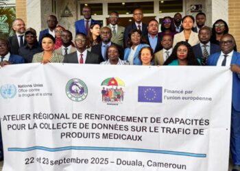 Tchad : une délégation tchadienne participe aux travaux d’un atelier régional sur le trafic de médicaments falsifiés à Douala