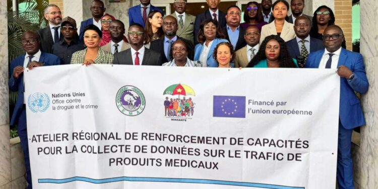 Tchad : une délégation tchadienne participe aux travaux d’un atelier régional sur le trafic de médicaments falsifiés à Douala