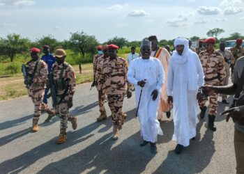 Guéra : Le Ministre de la Santé publique accueilli à Mongo