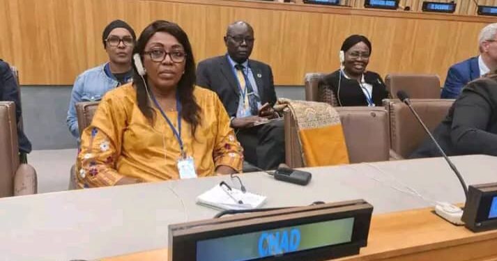 Tchad : À l’ONU, la Secrétaire d’État à la Santé plaide pour une riposte internationale contre le cancer, le diabète et les troubles psychiques