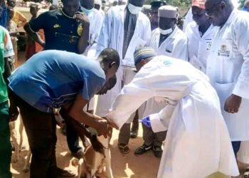 Tchad : Lancement de la campagne nationale de vaccination contre la rage à Guelendeng