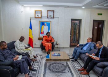 Tchad : La Ministre du pétrole reçoit l’Ambassadeur d’Algérie