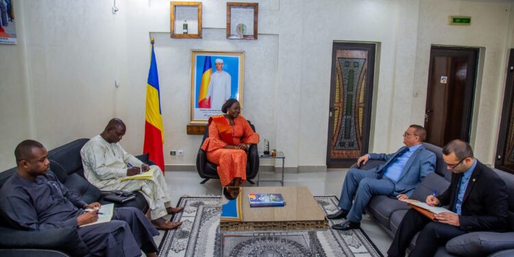 Tchad : La Ministre du pétrole reçoit l’Ambassadeur d’Algérie