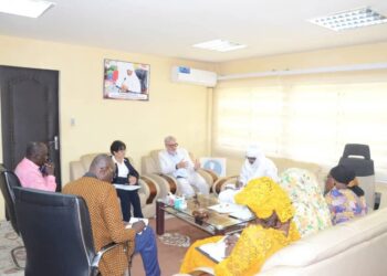 Tchad : Le Ministre de la Santé reçoit une équipe du PNUD