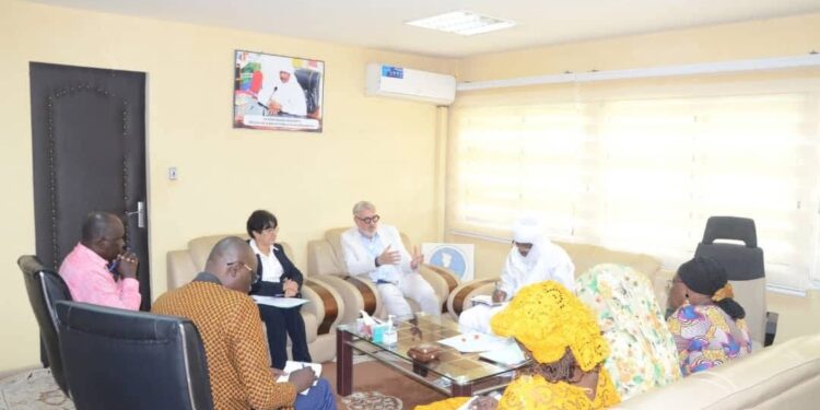 Tchad : Le Ministre de la Santé reçoit une équipe du PNUD