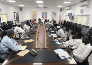 Tchad : Le Comité technique intensifie la lutte contre les risques d’inondations