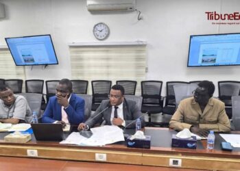 Tchad : Le Comité technique intensifie la lutte contre les risques d’inondations