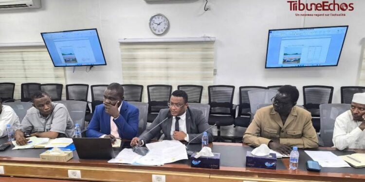Tchad : Le Comité technique intensifie la lutte contre les risques d’inondations