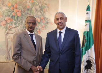 Tchad : La BAD confirme son appui aux projets structurants et à la Table ronde d’Abou Dhabi