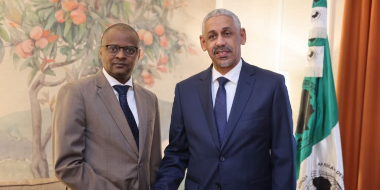 Tchad : La BAD confirme son appui aux projets structurants et à la Table ronde d’Abou Dhabi