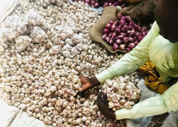 Tchad : Flambée des prix de l’ail à N’Djamena, le panier de la ménagère sous pression
