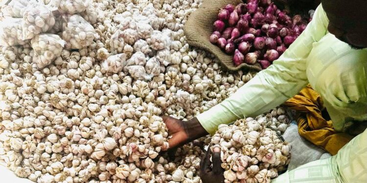 Tchad : Flambée des prix de l’ail à N’Djamena, le panier de la ménagère sous pression