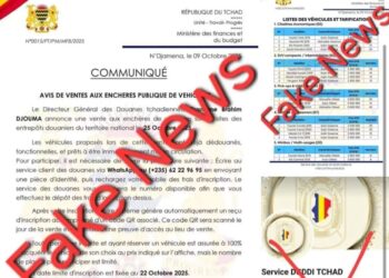 Tchad : Alerte à l’usurpation d’identité numérique, la DGDDI met en garde contre une page frauduleuse sur les réseaux sociaux