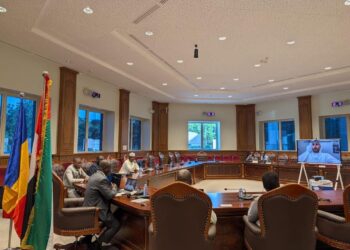 Tchad : Une visioconférence prépare la relance des travaux de la commission mixte avec les Émirats arabes unis
