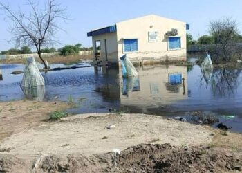 Tchad : Am-Djamena Bilala sous les eaux, la population se bat à mains nues contre les inondations