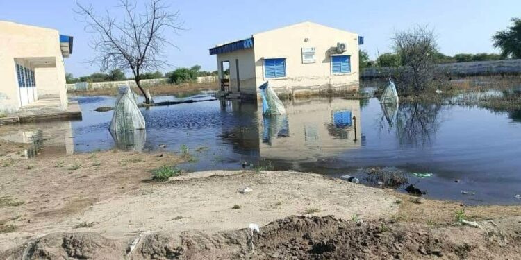 Tchad : Am-Djamena Bilala sous les eaux, la population se bat à mains nues contre les inondations