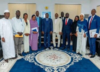 Tchad : L&rsquo;Ordre national des architectes du Tchad reçu à la Primature