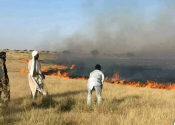 Tchad : Un violent feu de brousse ravage des hectares de pâturages et fait un blessé grave à Kanem-Est