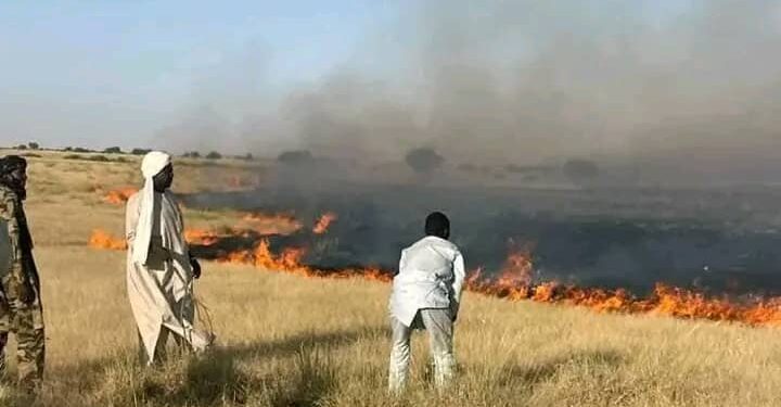 Tchad : Un violent feu de brousse ravage des hectares de pâturages et fait un blessé grave à Kanem-Est