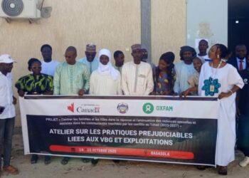 Lac : Un atelier pour lutter contre les pratiques préjudiciables liées aux VBG