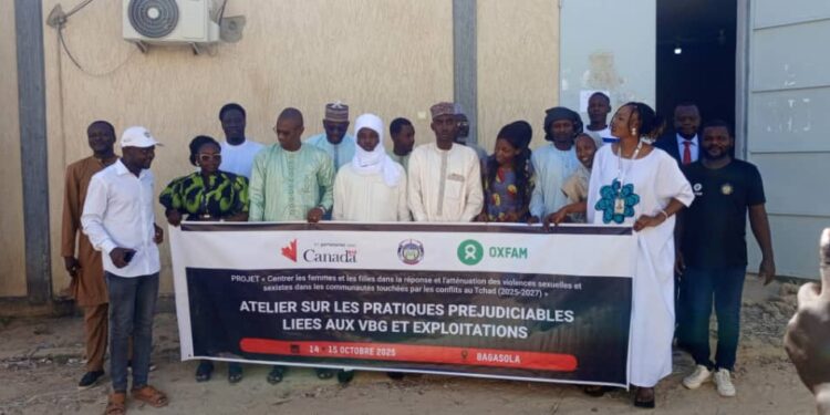 Lac : Un atelier pour lutter contre les pratiques préjudiciables liées aux VBG