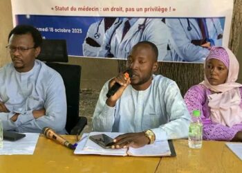Préavis de grève : le Syndicat des Médecins du Tchad exige des réformes